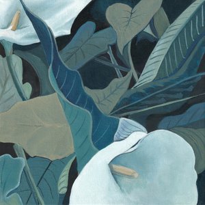 Des lis calla sereins