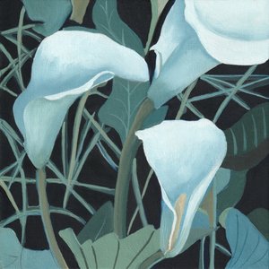 Arum 2 stylisé, par Viccy Wanliss