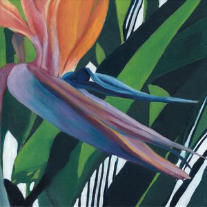 Oiseau de paradis aux couleurs vives