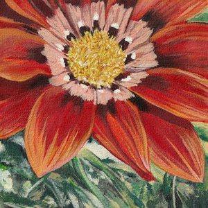 Fleur orange vif