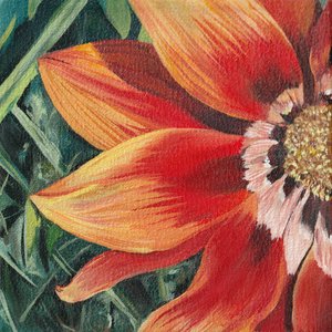 Fleur orange vif