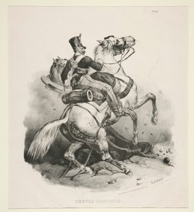 Cheval Cauchois - Victor Adam
