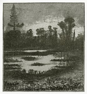 Les Chants du Crépuscule - Victor Hugo