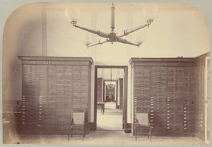 Pl. VII. Histoire de l