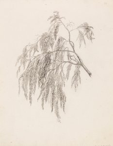 Branche - Victoria Åberg