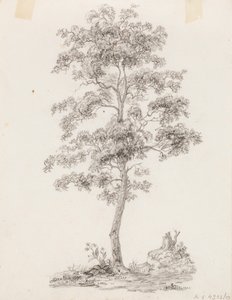Arbre - Victoria Åberg