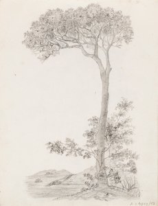 Arbres - Victoria Åberg