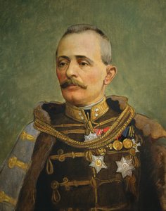 Général Svetozar Boroevic von Bojna, c.1916 - Vienna Nedomansky Studio