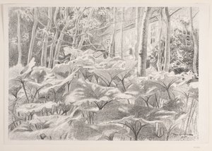 Dans un jardin