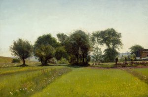 Enfants jouant dans les champs
