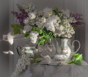 Lilas de printemps et l