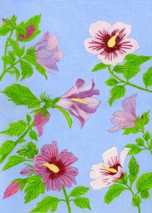 Fleurs d
