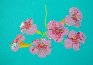 Dessin floral rose - Viktoriia Saunina