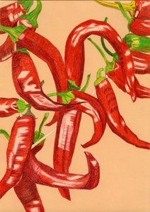 Piments rouges épicés - Viktoriia Saunina