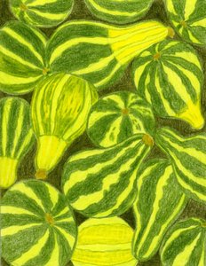 Courges rayées aux couleurs vives - Viktoriia Saunina