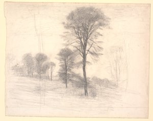 Paysage avec arbres dispersés. "Ryet" près du lac de Farum - Vilhelm Hammershøi