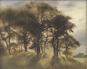 Près de Fortunen, parc aux cerfs de Jægersborg, au nord de Copenhague - Vilhelm Hammershøi