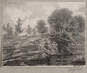 Collines près d