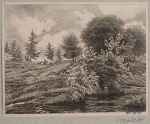 Collines près d