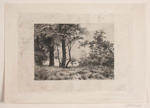 Chênes à la lisière d