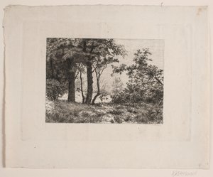 Chênes au bord d