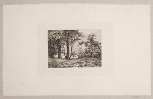 Chênes à la lisière d