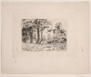 Chênes à la lisière d