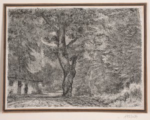 Maison dans la forêt