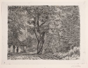 La maison dans la forêt