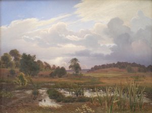 Paysage près de la forêt Nordskoven, Jægerspris, Zélande