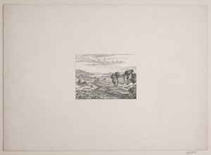 Paysage de la région de Himmelbjerget