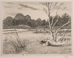 Coucher de soleil dans une forêt - Vilhelm Kyhn