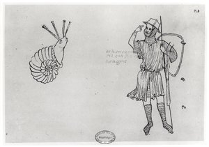 Fol.2 Escargot et soldat hongrois (copie facsimilé)