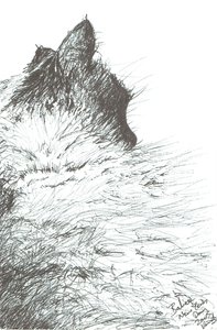 Bébé se réchauffe pour le Nouvel An - Vincent Alexander Booth