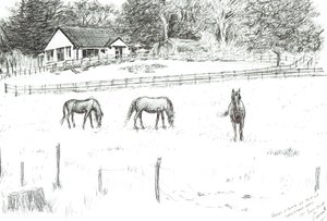 Chevaux en haut du chemin