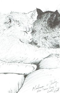 Montwee et Bébé Nouvel An 2005, 2005 - Vincent Alexander Booth