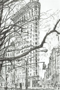 Flat Iron Building New York - Vincent Alexander Booth