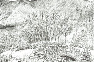 Vieux pont de pierre dans le Lake District, 2005 - Vincent Alexander Booth