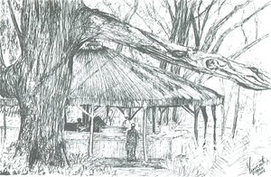 Bar extérieur, lac Naivasha - Vincent Alexander Booth