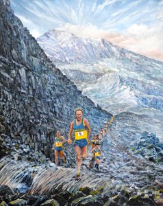 Course de Snowdon, 2019