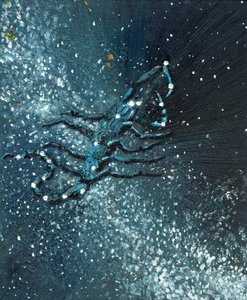 Signe astrologique Scorpion
