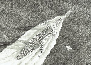 Créateurs de tempêtes Cap Canaveral - Vincent Alexander Booth