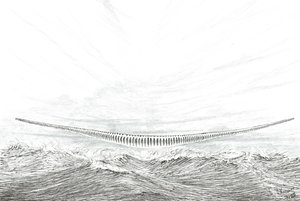 Créateurs de tempête Cape Leveque - Vincent Alexander Booth