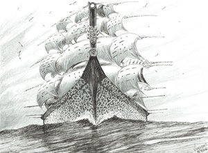 Créateurs de tempêtes Cap Reinga - Vincent Alexander Booth