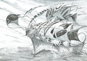 Créateurs de tempêtes, mer de Chiloé, 2018 - Vincent Alexander Booth