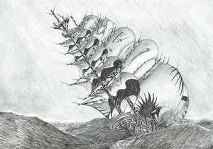 Créateurs de tempêtes Mer de Chine orientale, 2017 - Vincent Alexander Booth