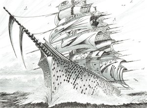 Créateurs de tempêtes Baie de Hawke - Vincent Alexander Booth