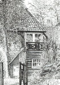 La Maison en rondins - Vincent Alexander Booth