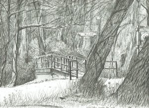 Le vieux pont métallique, parc de Bramhall, 2004