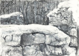 Mur dans les bois d